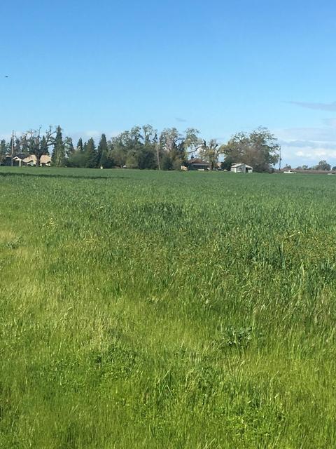 4404 W Sargent Rd, Lodi, CA 95242 photo 6