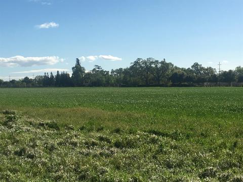 4404 W Sargent Rd, Lodi, CA 95242 photo 5