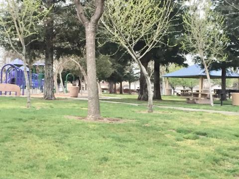 2002 Winter Haven Dr, Turlock, CA 95382 photo 32