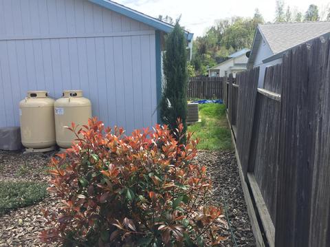 2333 Pintail Ln, Placerville, CA 95667 photo 9