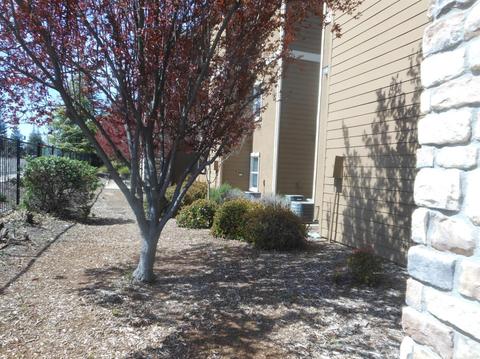 8434 Walerga Rd #113, Antelope, CA 95843 photo 18