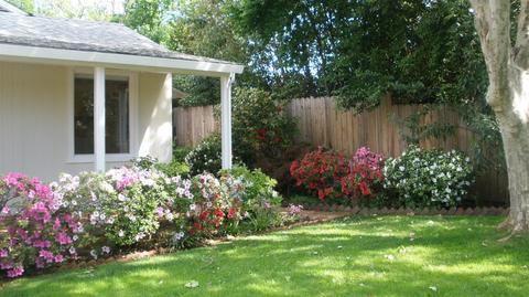 3346 Walnut Ave, Carmichael, CA 95608 photo 3