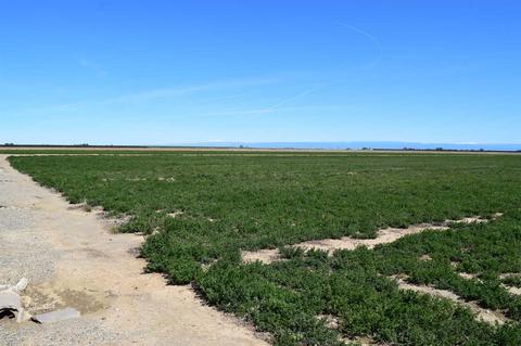 6874 County Road 45, Willows, CA 95988 photo 32