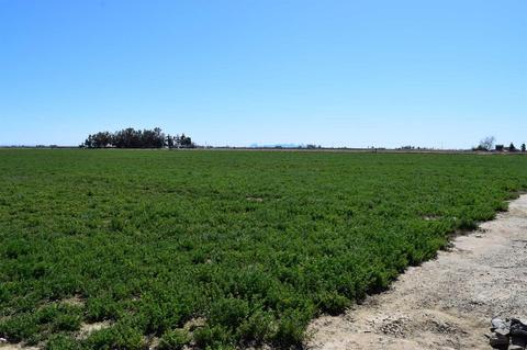6874 County Road 45, Willows, CA 95988 photo 33