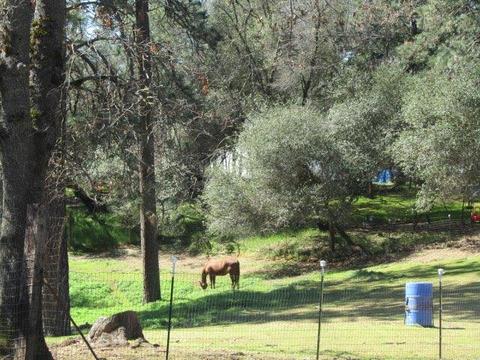 4470 Washboard Ln, Placerville, CA 95667 photo 25
