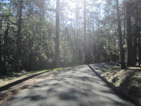 3039 Swansboro Rd, Placerville, CA 95667 photo 1