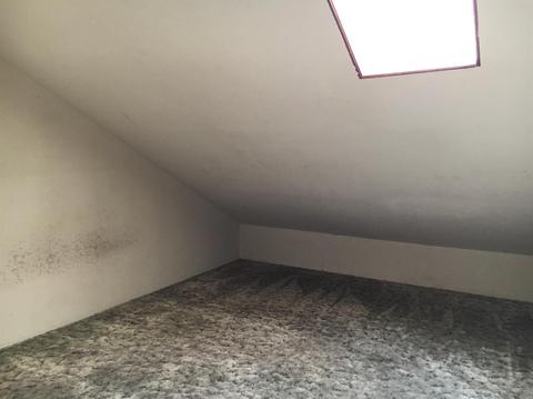 21916 Phoenix Lake Rd, Sonora, CA 95370 photo 15