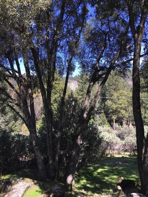 21916 Phoenix Lake Rd, Sonora, CA 95370 photo 19