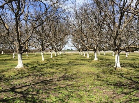 695 Weyer Rd, Modesto, CA 95357 photo 22