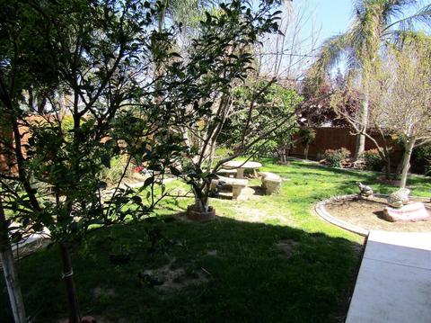 232 Dowitcher, Patterson, CA 95363 photo 22