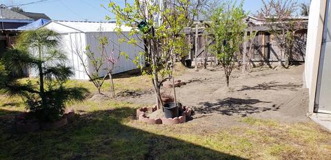 5233 9th St, Keyes, CA 95328 photo 19