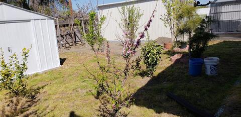 5233 9th St, Keyes, CA 95328 photo 20
