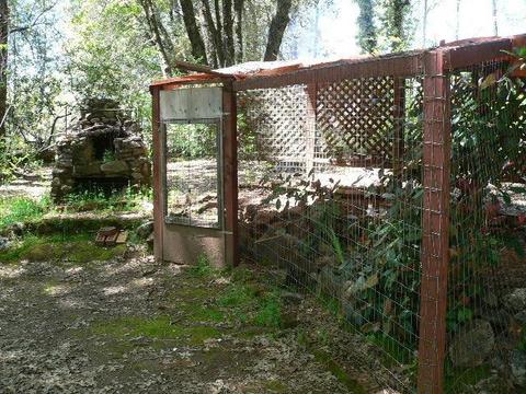 13745 Pine View Dr, Pine Grove, CA 95665 photo 30
