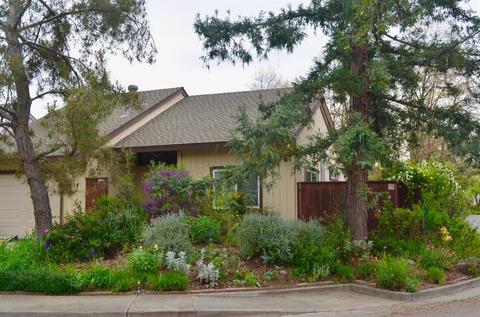 1234 Gazelle Pl, Davis, CA 95616 photo 1