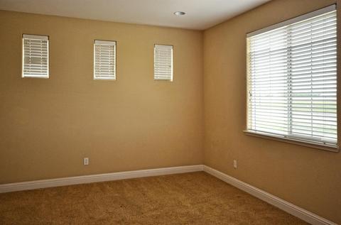 859 Trestle, Lathrop, CA 95330 photo 19
