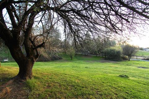 900 Black Rice Rd, Placerville, CA 95667 photo 7
