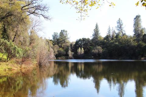 900 Black Rice Rd, Placerville, CA 95667 photo 2
