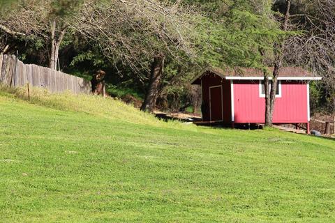 900 Black Rice Rd, Placerville, CA 95667 photo 31