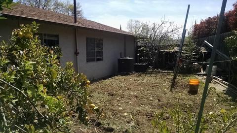 1133 Mcarthur Ave, Winters, CA 95694 photo 14