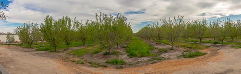 324 Crawford Rd, Modesto, CA 95356 photo 34