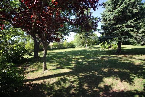 1331 Elverta Rd, Elverta, CA 95626 photo 27