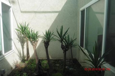 2433 Budd St, Modesto, CA 95350 photo 4