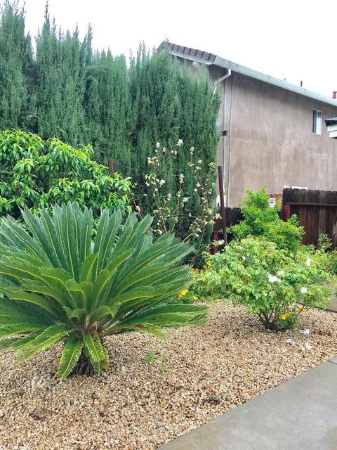 1038 Putnam Ct, Turlock, CA 95382 photo 29