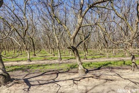 24061 Austin, Ripon, CA 95366 photo 9