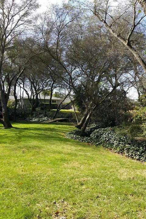 4361 Virgusell Cir, Carmichael, CA 95608 photo 34