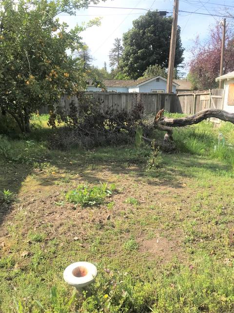 1320 Lyons Ave, Turlock, CA 95380 photo 14