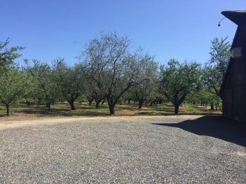20282 Ellis Rd, Escalon, CA 95320 photo 6