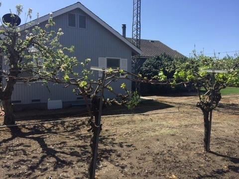 20282 Ellis Rd, Escalon, CA 95320 photo 7