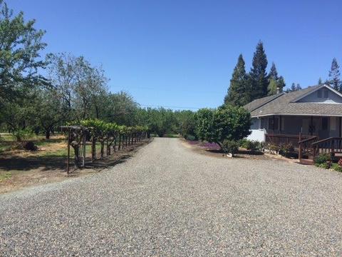 20282 Ellis Rd, Escalon, CA 95320 photo 15
