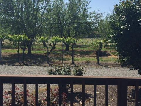 20282 Ellis Rd, Escalon, CA 95320 photo 19