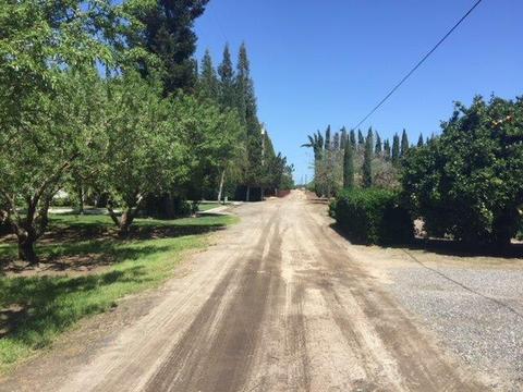 20282 Ellis Rd, Escalon, CA 95320 photo 18