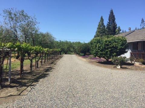 20282 Ellis Rd, Escalon, CA 95320 photo 5