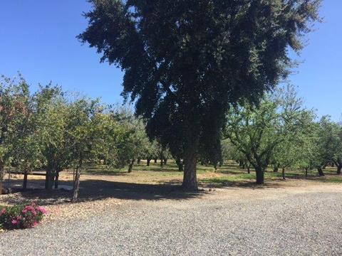20282 Ellis Rd, Escalon, CA 95320 photo 11