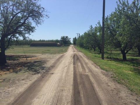 20282 Ellis Rd, Escalon, CA 95320 photo 17