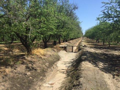 20282 Ellis Rd, Escalon, CA 95320 photo 9