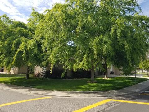 249 S Powers Ave, Manteca, CA 95336 photo 15