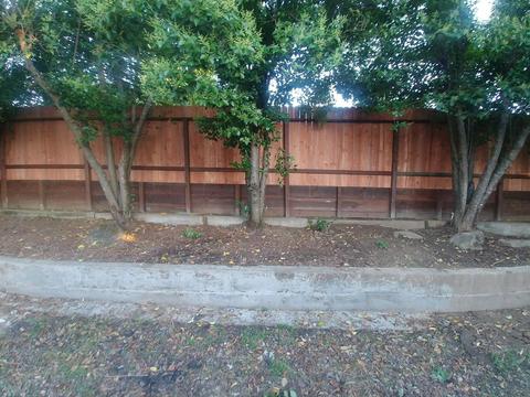 6016 Coyle Ave, Carmichael, CA 95608 photo 26
