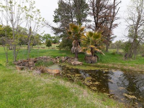 1075 Sevier Rd, Cool, CA 95614 photo 7