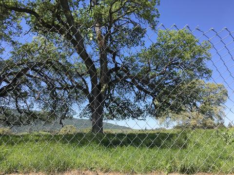 440 Alfreda St, San Andreas, CA 95249 photo 20