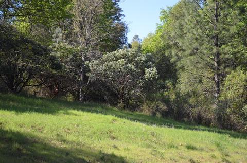 2700 Swansboro Rd, Placerville, CA 95667 photo 22