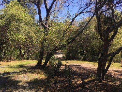 14490 Sutter Highlands, Sutter Creek, CA 95685 photo 9