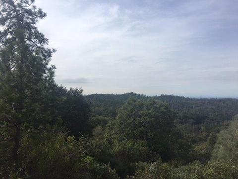 14490 Sutter Highlands, Sutter Creek, CA 95685 photo 8