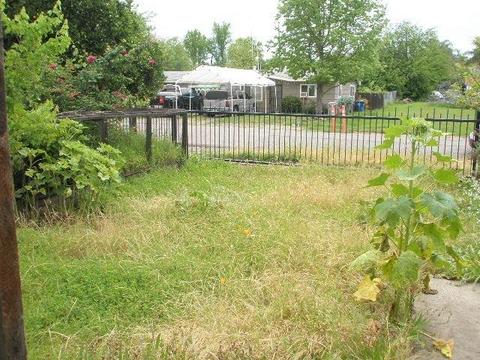 403 Mill St, Folsom, CA 95630 photo 5