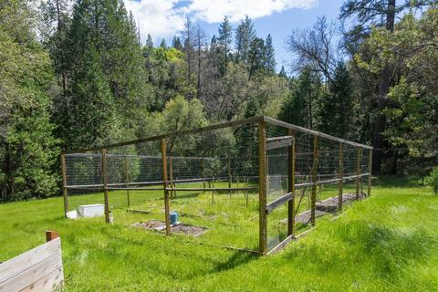 20050 Meadowood Dr, Jackson, CA 95642 photo 31