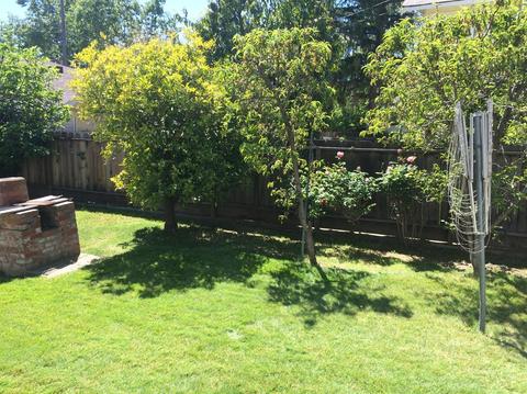 614 W Locust St, Lodi, CA 95240 photo 15