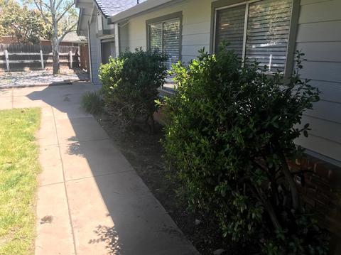 2020 Meadow Wind Ct, Elverta, CA 95626 photo 3